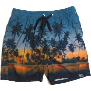 Palm Tree Sunset Print Mens Swim‎ Trunks Shorts Medium Lined Beach